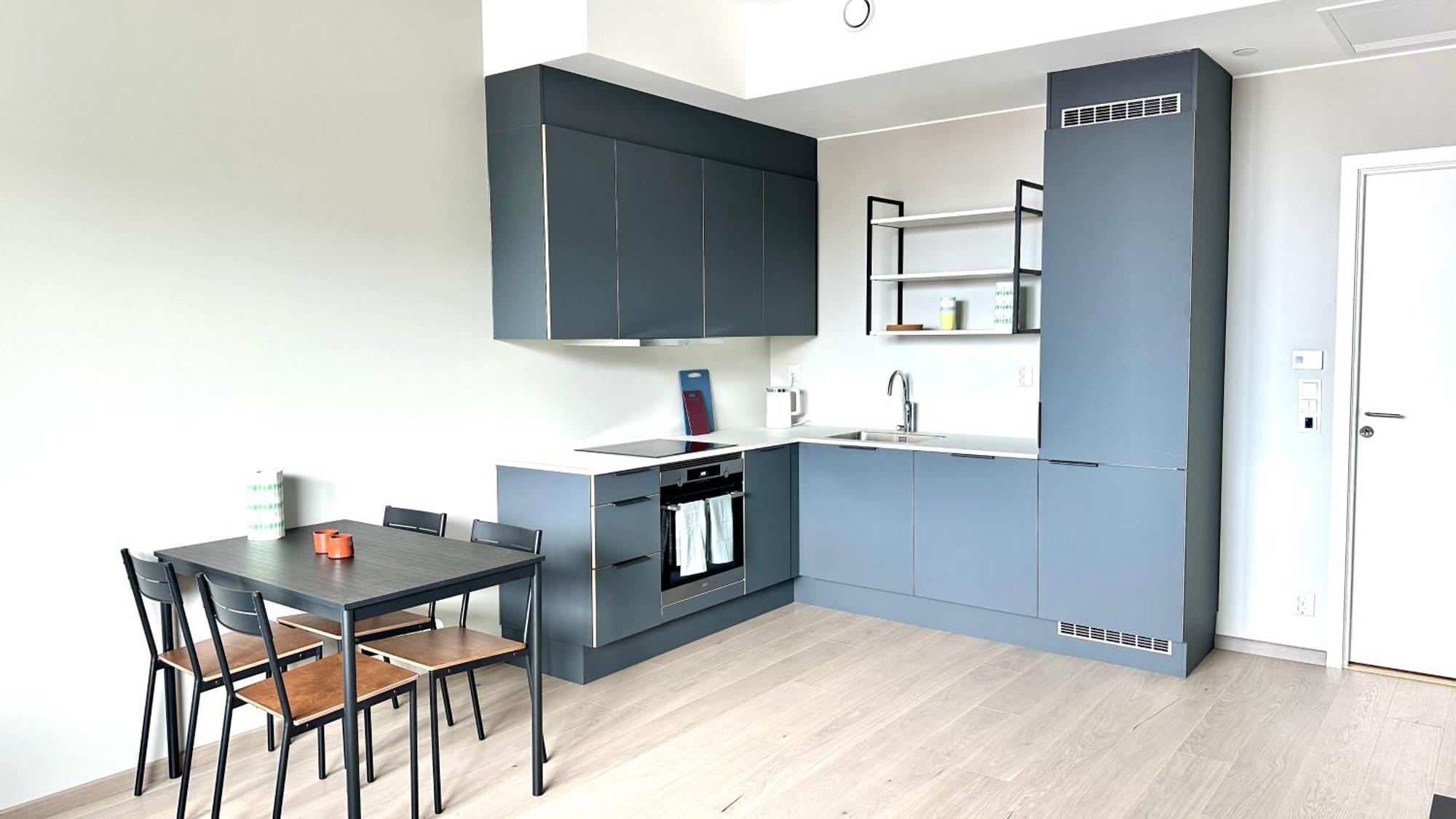 Brand New And Modern Apartment In Oslo Center Eksteriør bilde