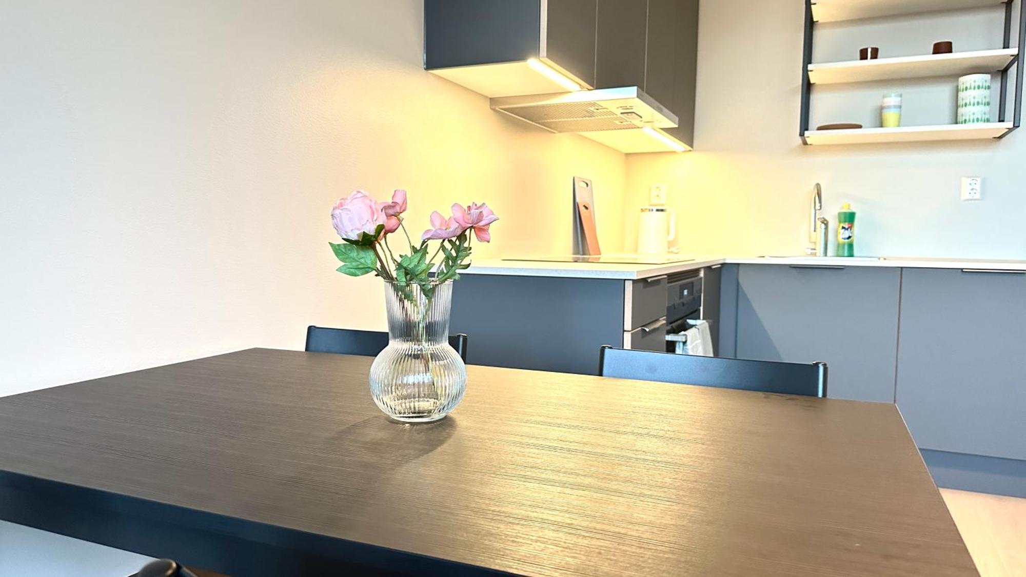 Brand New And Modern Apartment In Oslo Center Eksteriør bilde